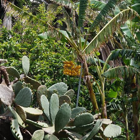 La Casita Del Jardinero Villa Los Llanos De Aridane Exteriör bild